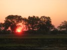 okavangodelta05.jpg