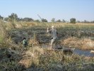 okavangodelta18.jpg