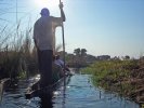 okavangodelta19.jpg