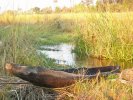 okavangodelta25.jpg