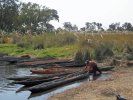 okavangodelta31.jpg