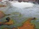 okavangodelta37.jpg