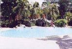 borneo10.jpg
