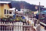 borneo11.jpg
