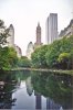 newyork04.jpg